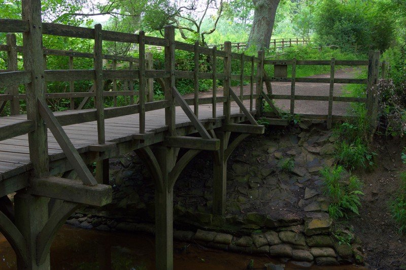 Real-Life Inspirations for the 100 Acre Wood Revealed